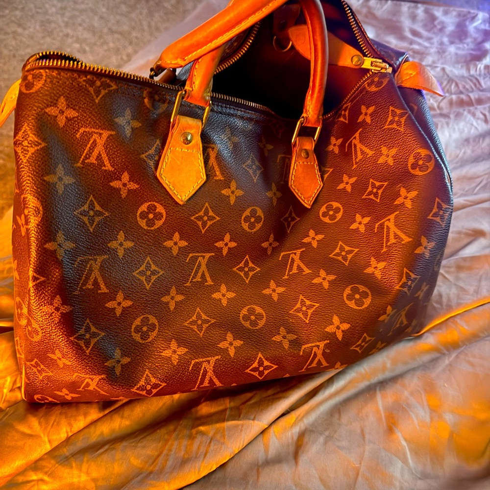 Louis Vuitton Brown and Tan Monogram Bag